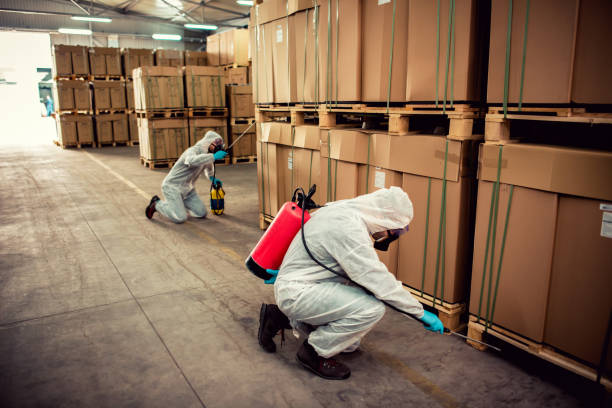 Best Bed Bug Extermination  in St Henry, OH