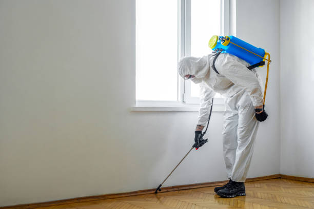 Best Pest Control for Homes  in St Henry, OH