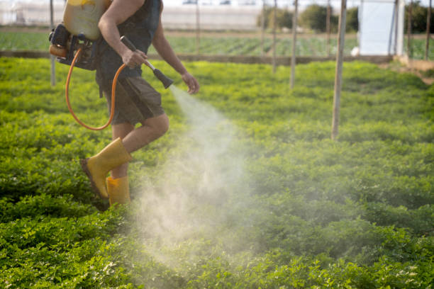 Best Pest Removal Services  in St Henry, OH