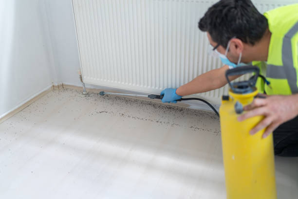 Best Cockroach Control Services  in St Henry, OH