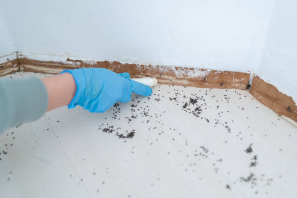 Wildlife Control Services in St Henry, OH