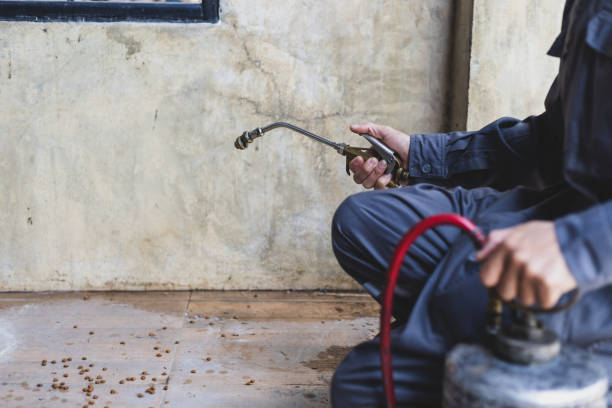 Best Best Pest Control Companies  in St Henry, OH