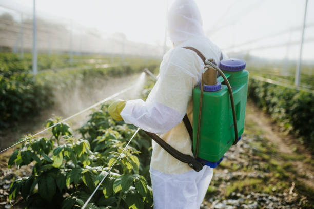Best Best Pest Control Near Me  in St Henry, OH